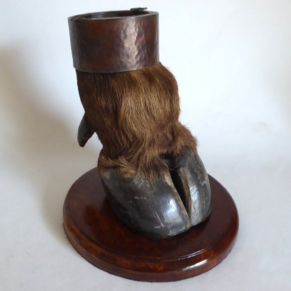 VINTAGE 9” TAXIDERMY LARGE BULL HOOF RUSTIC FARM WESTERN COWBOY ODDITY